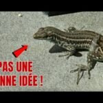 Plaques d&eacute;coratives murales salle de bain