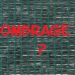 Comment Réguler la Température dans une Serre pour Éviter une Chaleur Intense