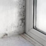 Comment isoler efficacement un plafond de garage